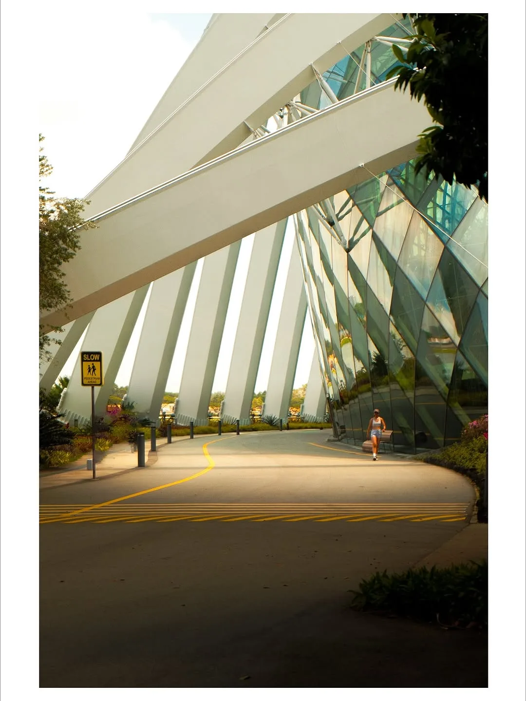 Singapore in 2025, photograph 10