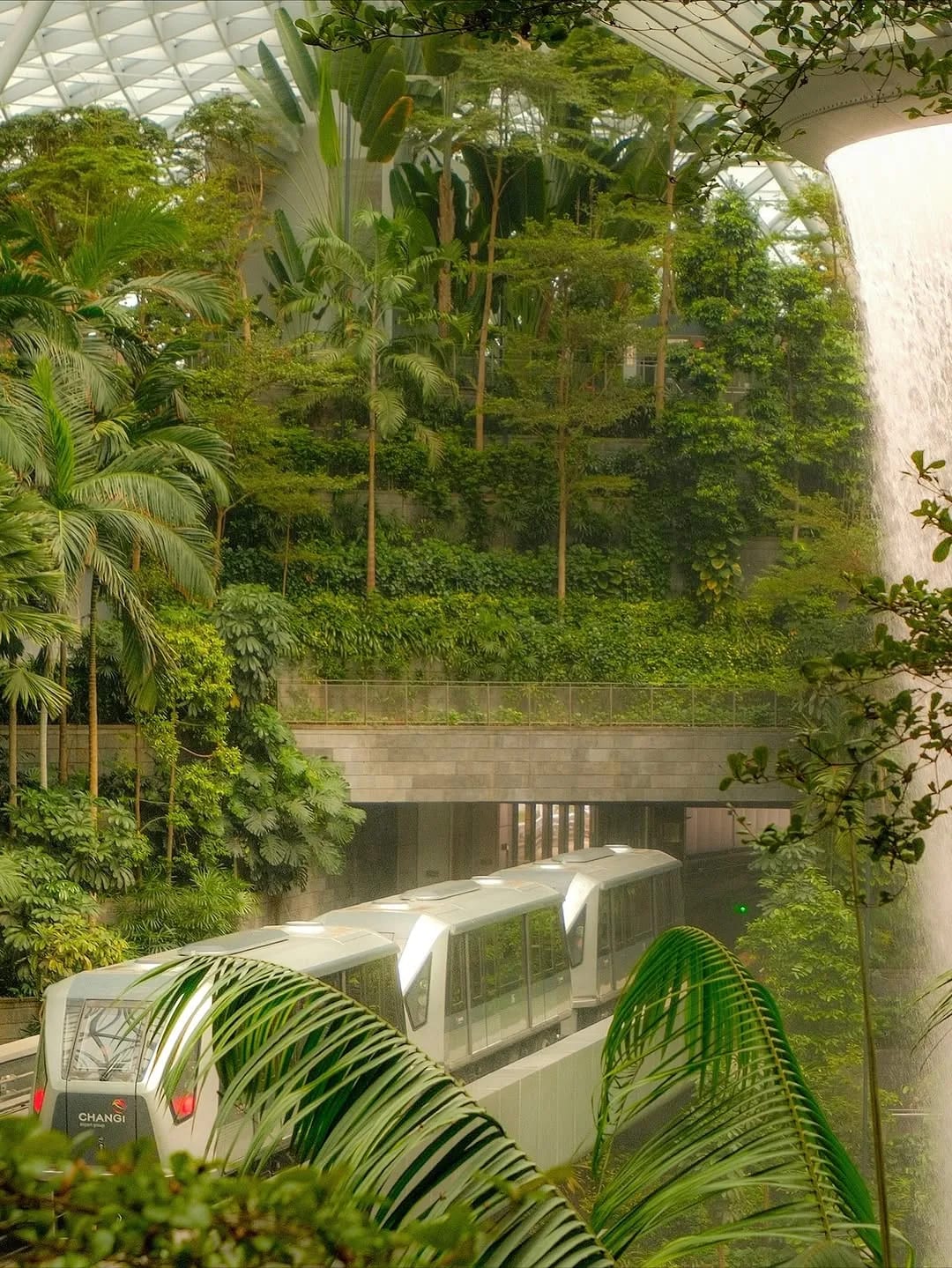 Singapore in 2025, photograph 15