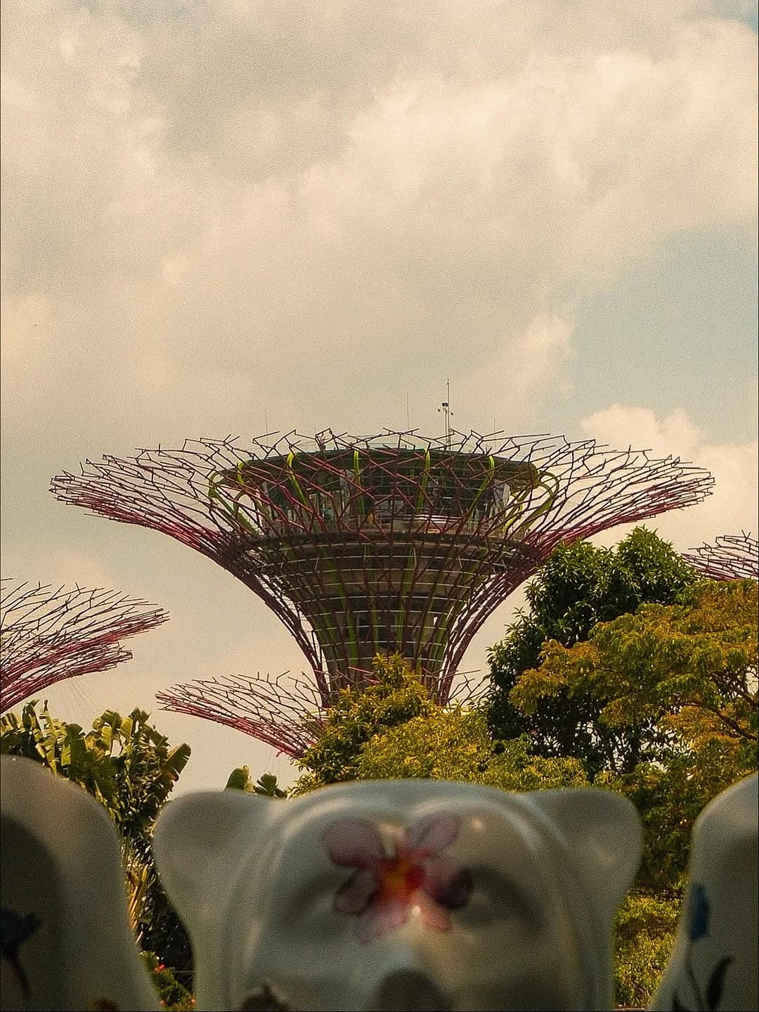 Singapore in 2025, photograph 19