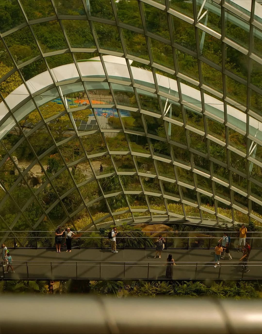 Singapore in 2025, photograph 30