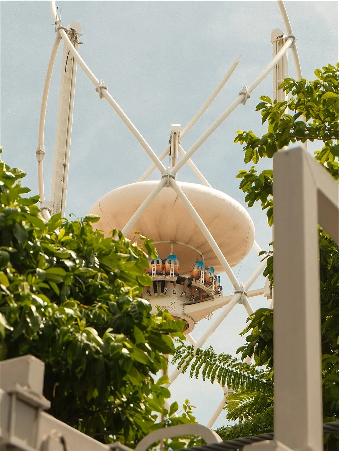 Singapore in 2025, photograph 39