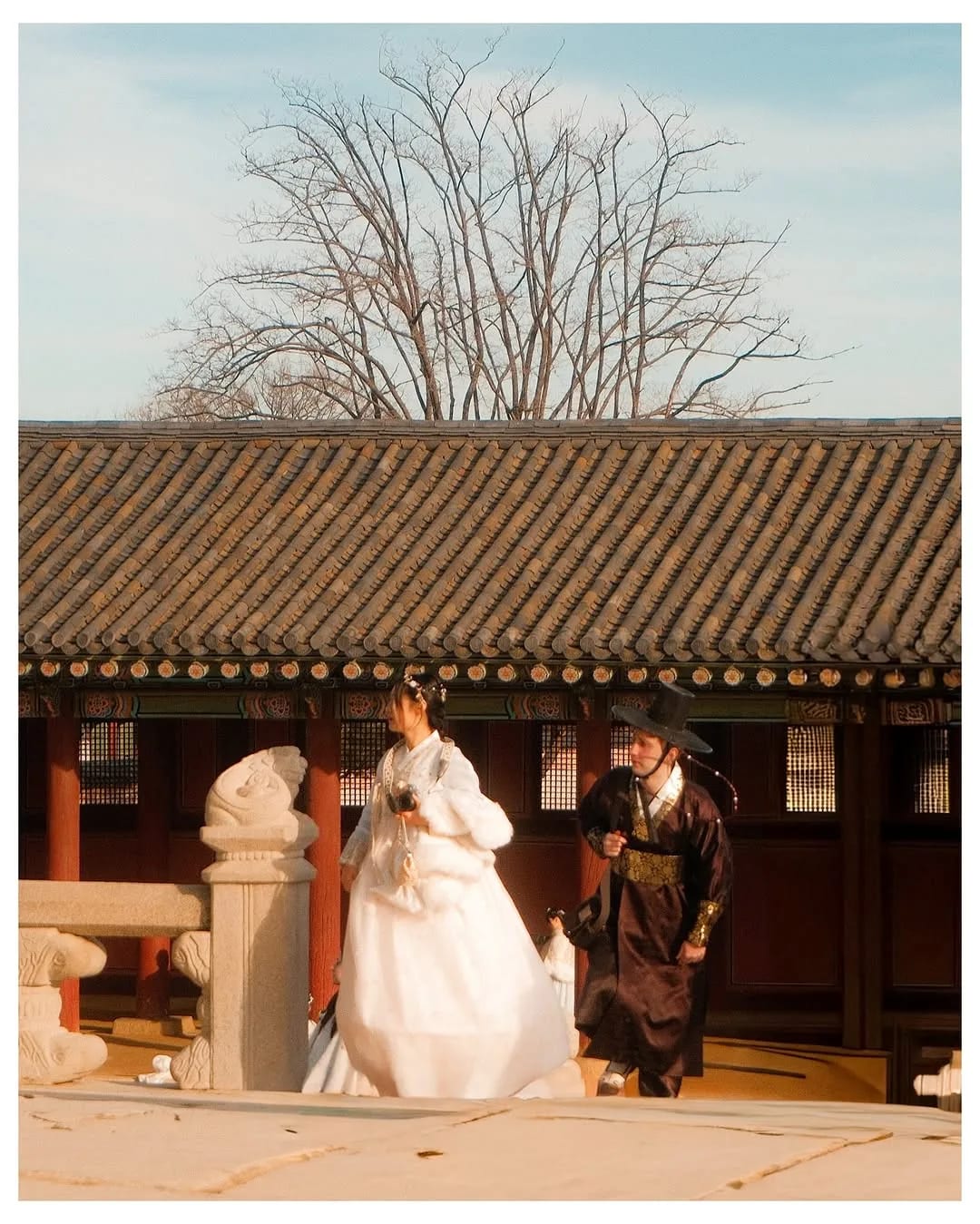 South Korea in 2025, photograph 37