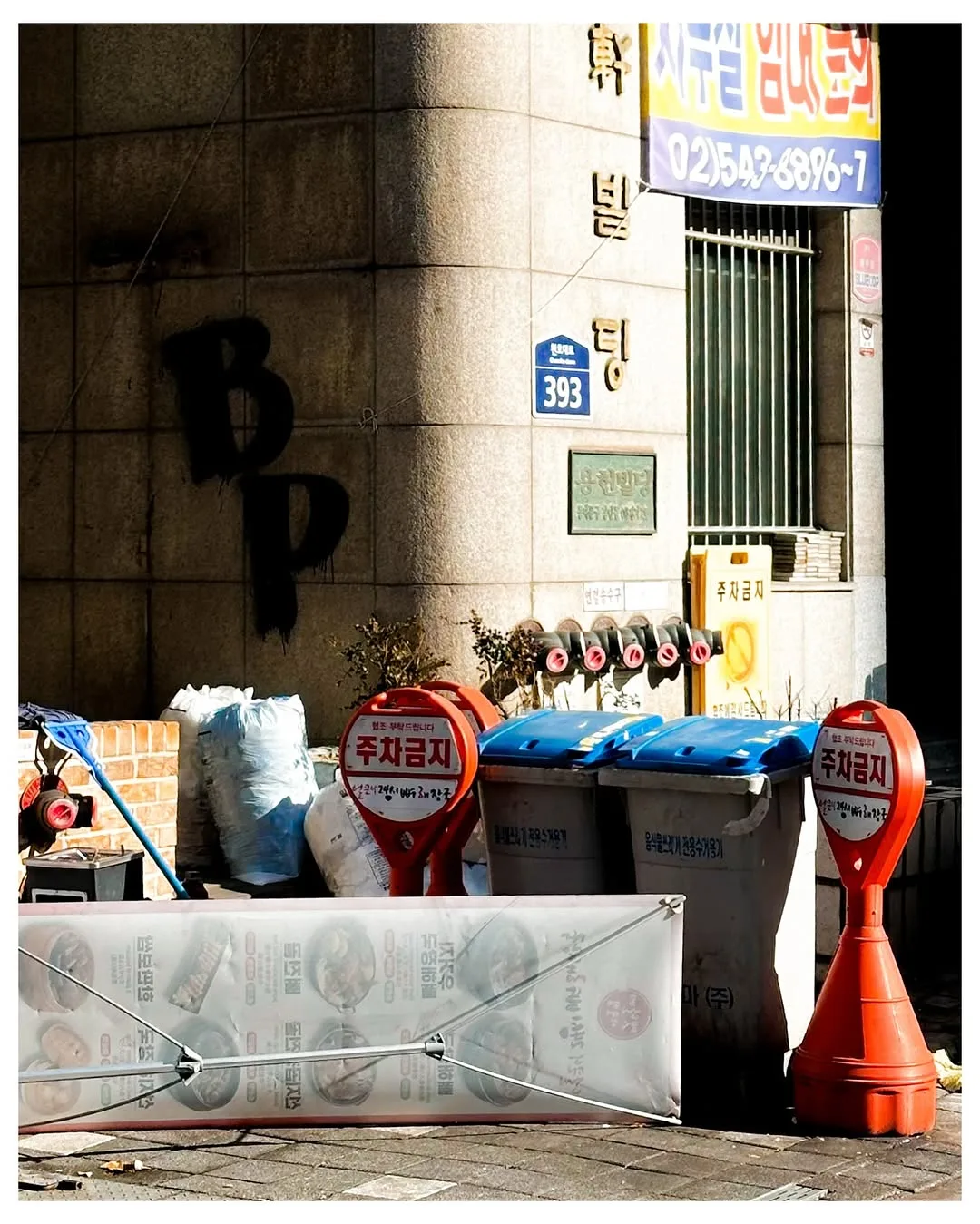 South Korea in 2025, photograph 51