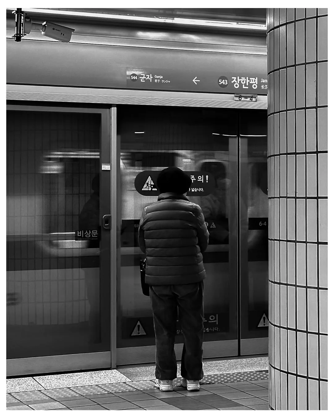 South Korea in 2025, photograph 58