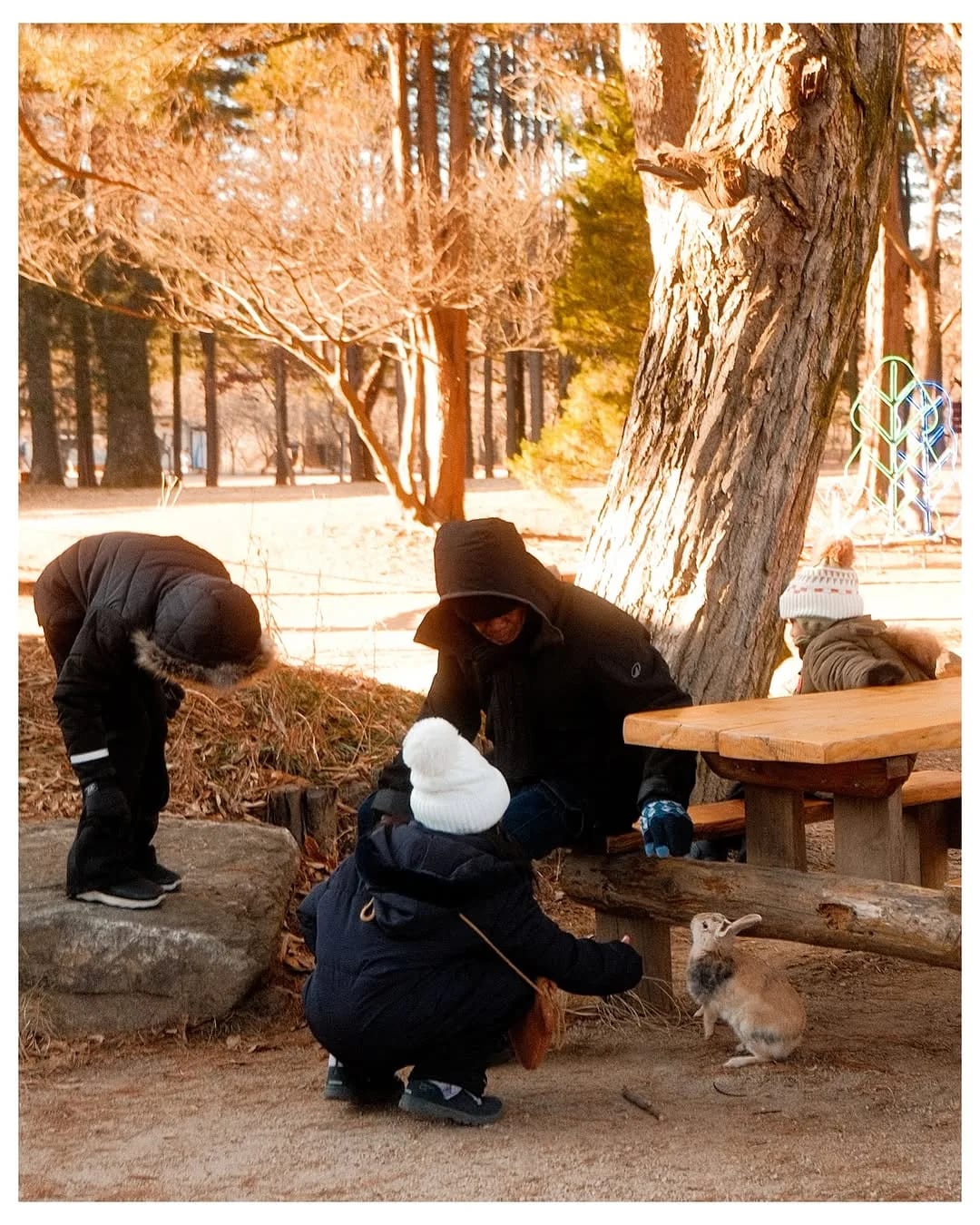 South Korea in 2025, photograph 63