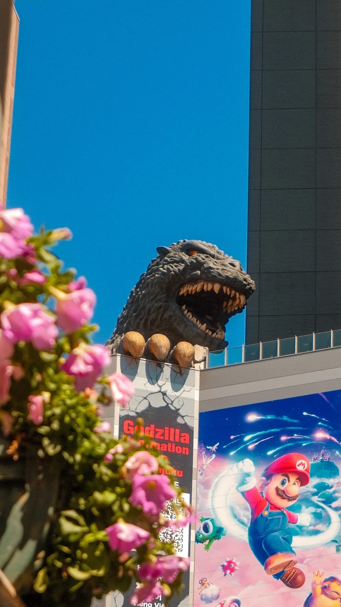 Tokyo, Japan in 2026, photograph 26