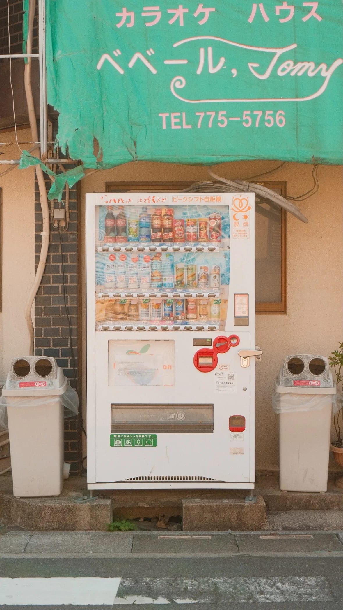Tokyo, Japan in 2026, photograph 48